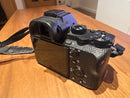 Sony Mirrorless Interchangeable Lips 7