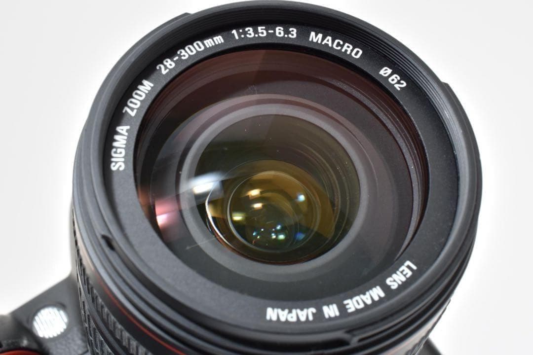 Nikon Digital Slrs D90