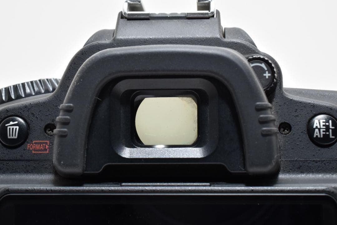 Nikon Digital Slrs D90