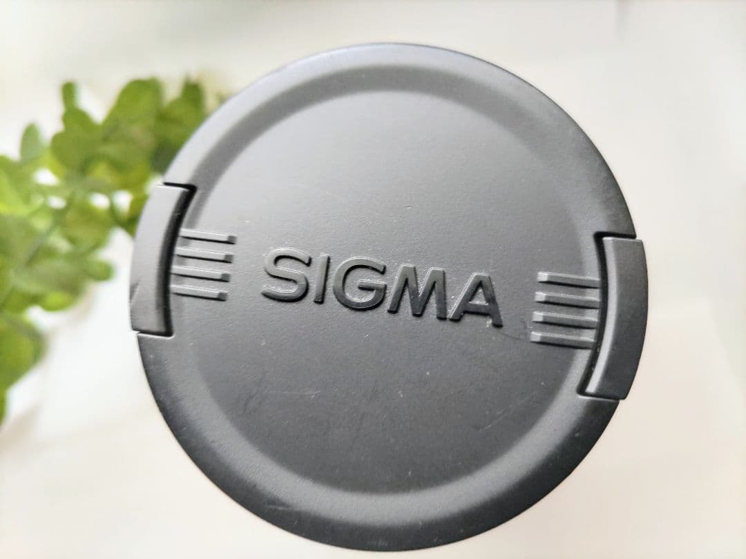 Sigma Zoom Lenses 18-200Mm F3.5-6.3 Dc Os Hsm