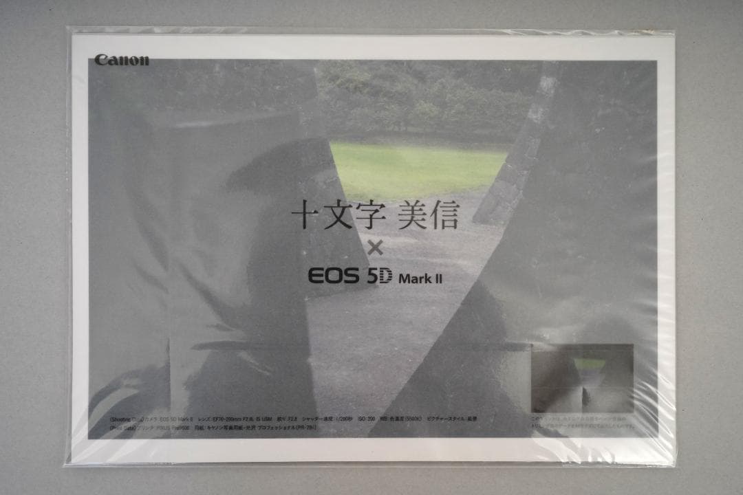 Canon Other Eos 5D Mark Ii 2008 11