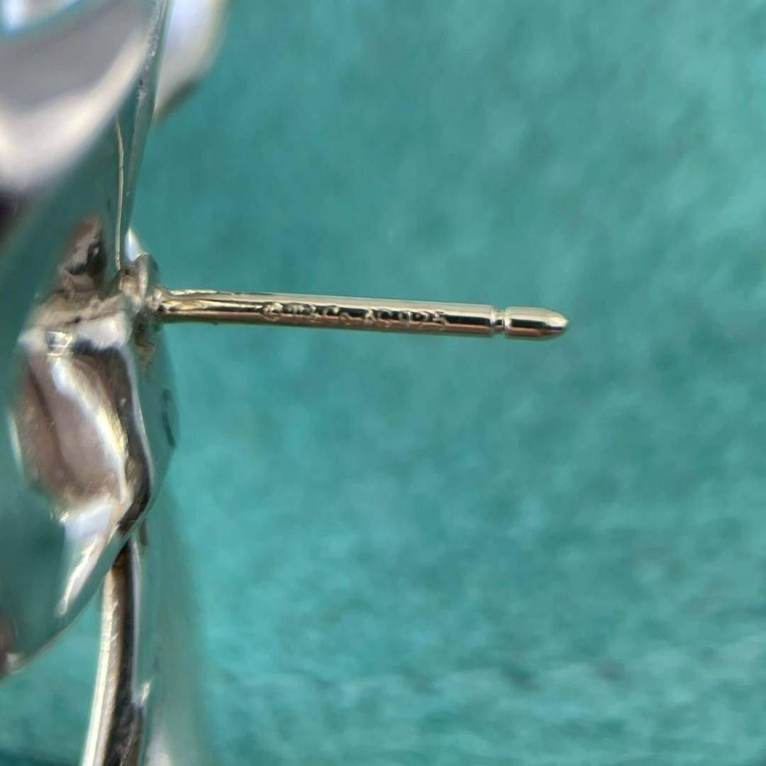 Tiffany Earrings (Pairs) 925 P60Fe