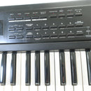 Roland Other Xp-10 61