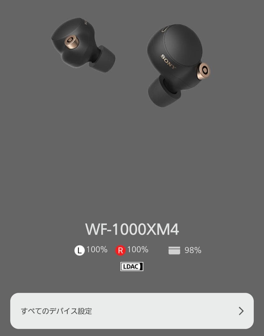 Sony Earphone Wf-1000Xm4
