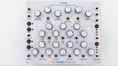Modular Synthesizer Rossum Electro-Music Trident