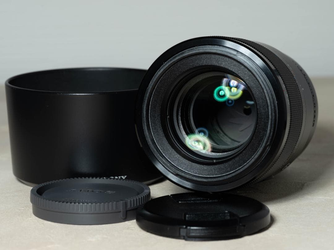 Sony Lens (Single Focus) Fe F2.8 Macro G Sel90M28G