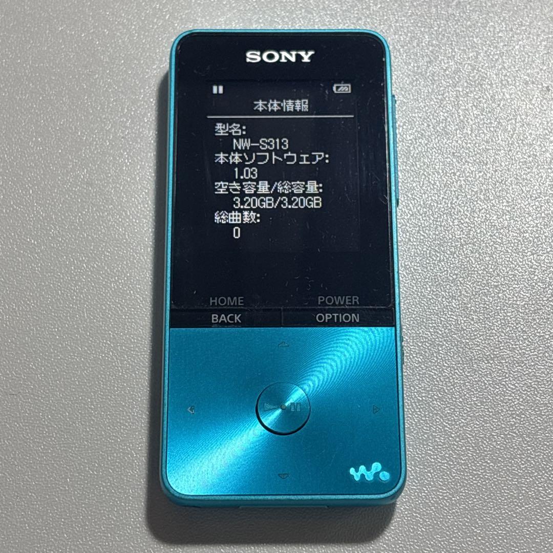 Sony Portable Players Walkman Nw-S313