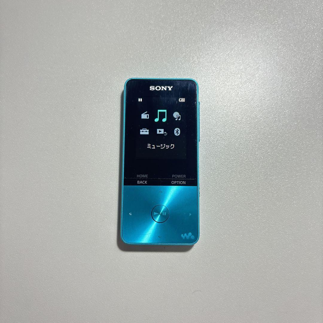 Sony Portable Players Walkman Nw-S313