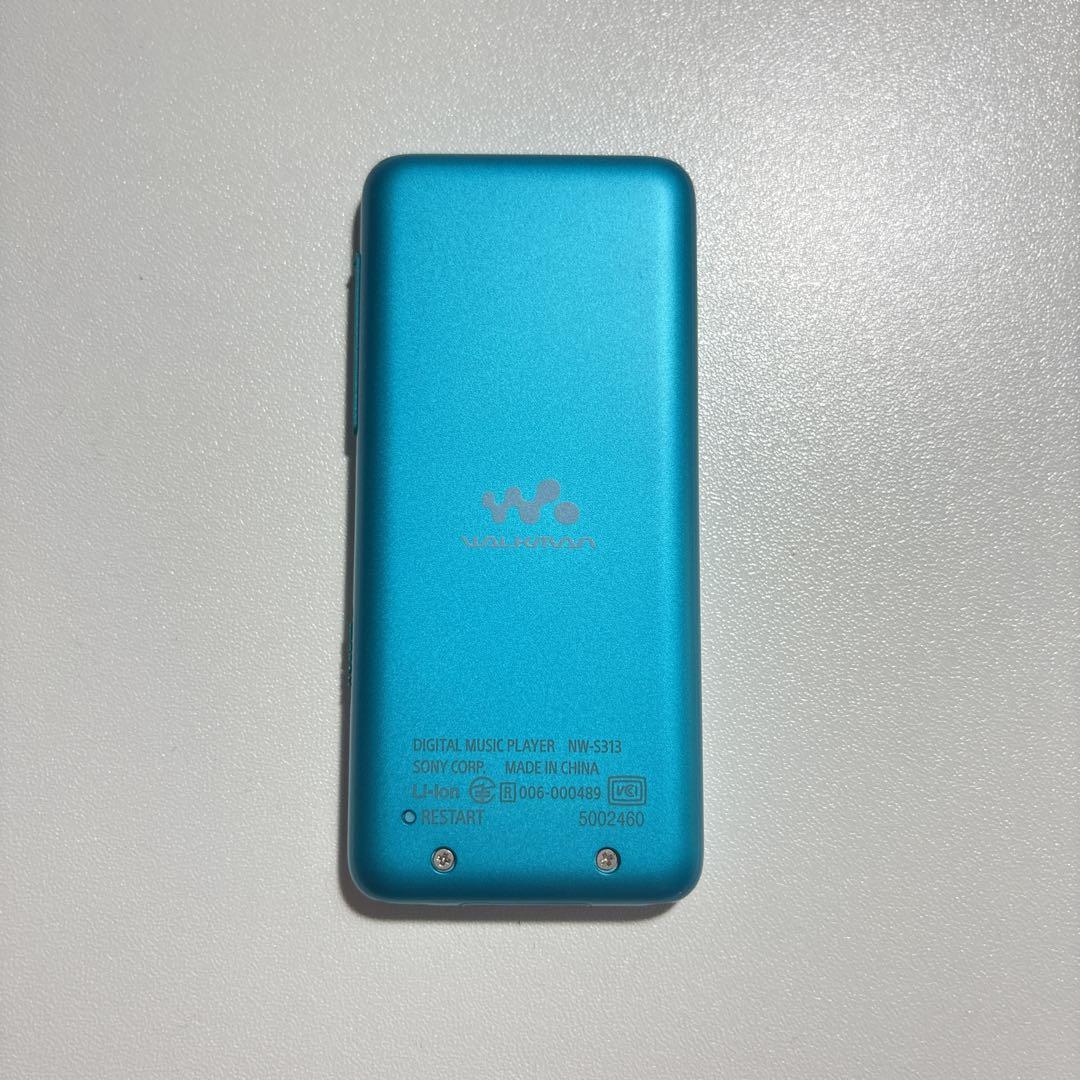 Sony Portable Players Walkman Nw-S315