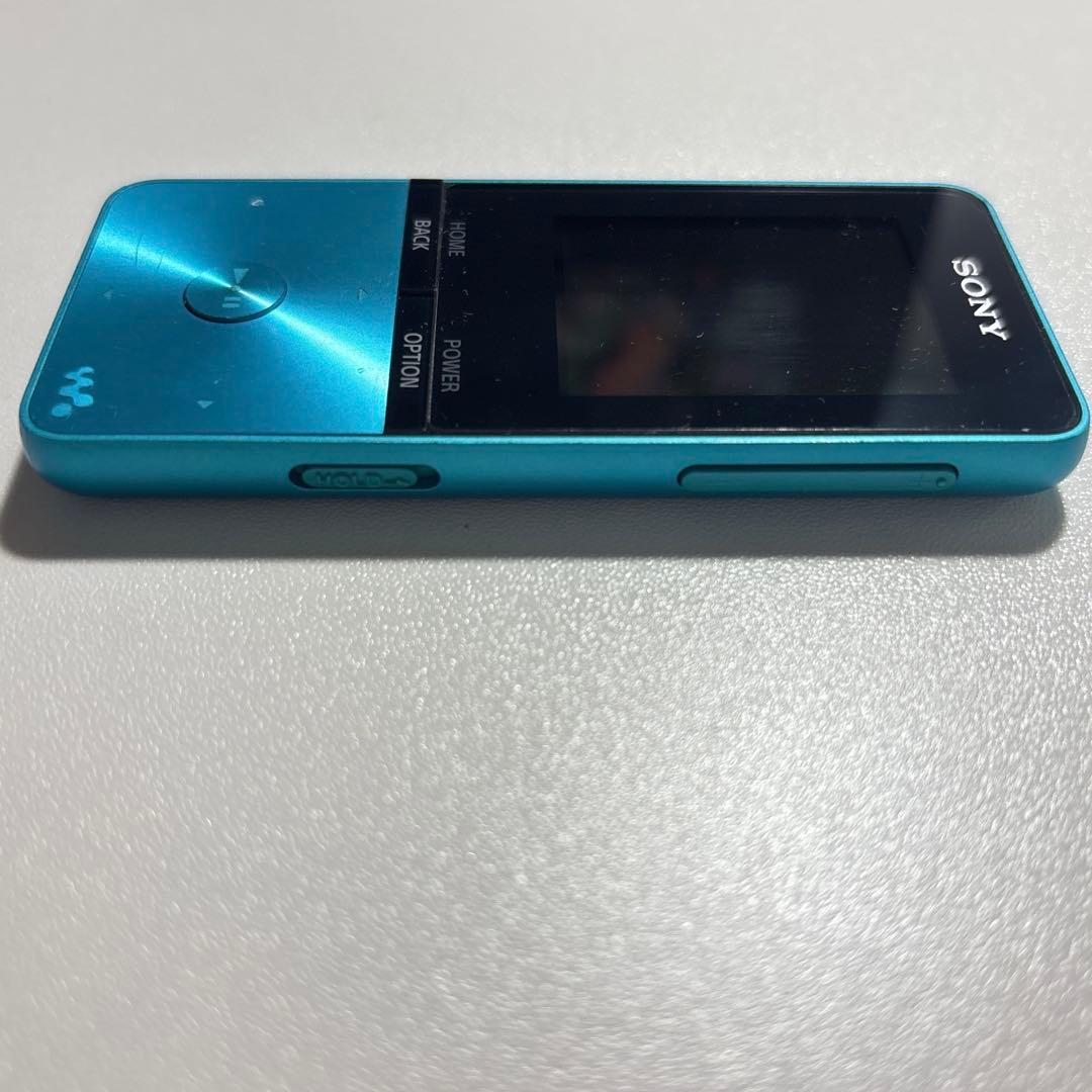 Sony Portable Players Walkman Nw-S313