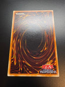 Yu -Gi -Oh! Ocg Duel Monsters