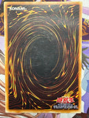 Yu-Gi-Oh! Ocg Duel Monsters (Japanese) 303-051