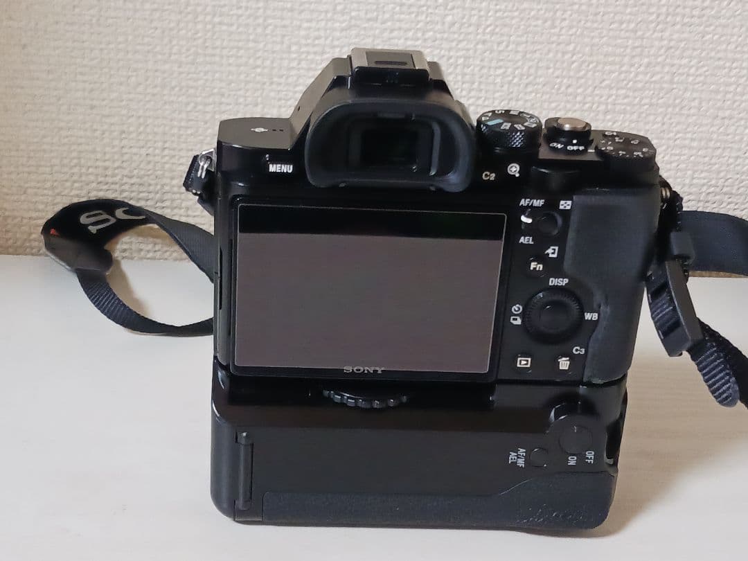 Sony Mirrorless Interchangeable Lens Cameras 7R