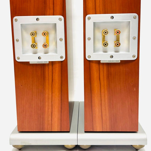 Speakers Audio Vector Ki3 Super Cherry