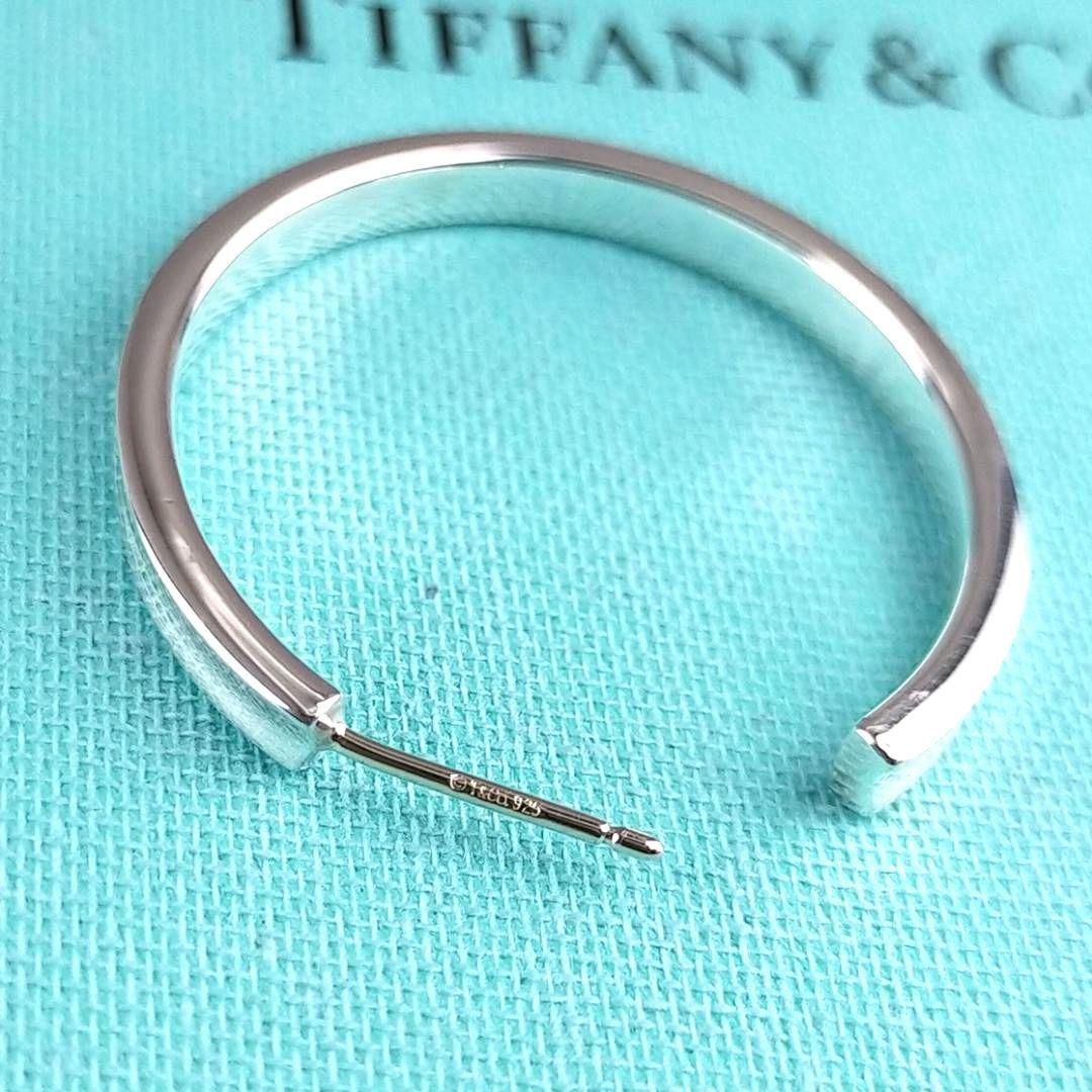 Tiffany Earrings (Single) 2759
