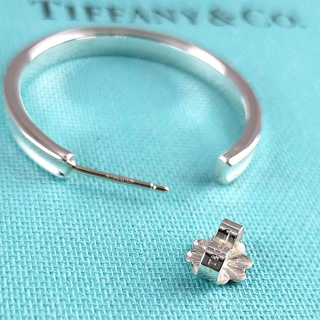 Tiffany Earrings (Single) 2759