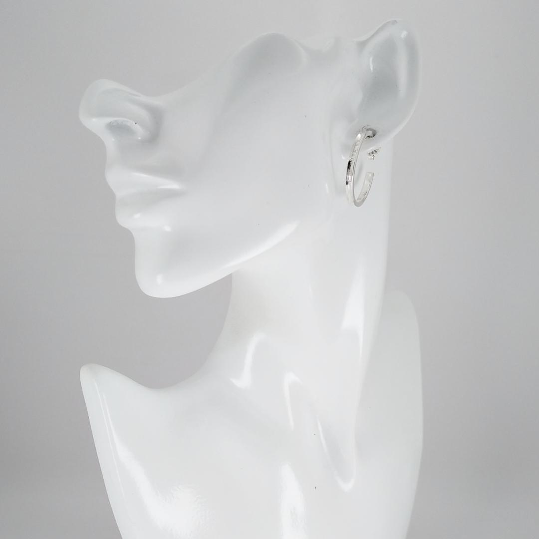 Tiffany Earrings (Single) 2759