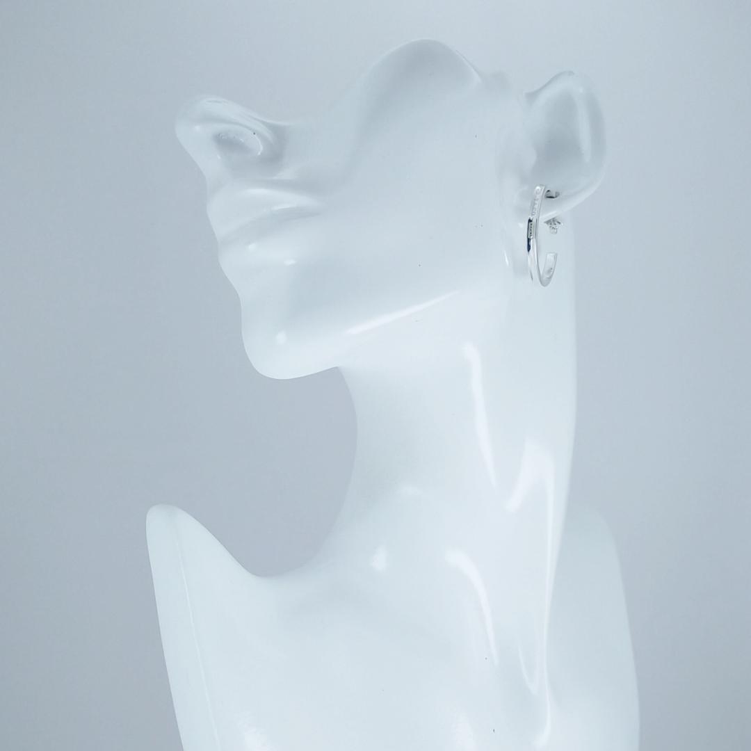 Tiffany Earrings (Single) 2759
