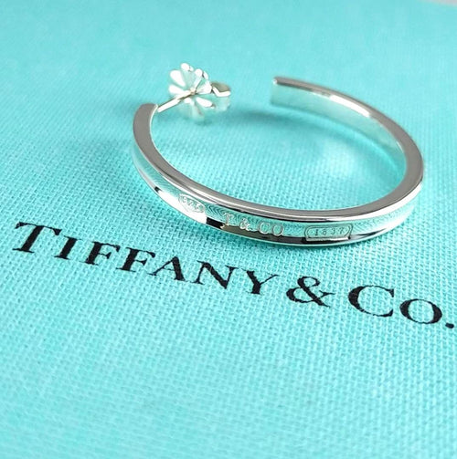 Tiffany Earrings (Single) 2759