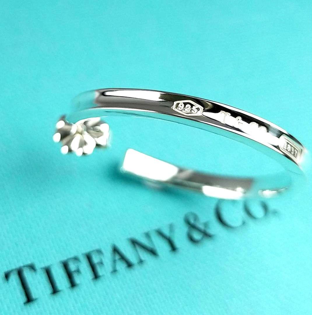 Tiffany Earrings (Single) 2759