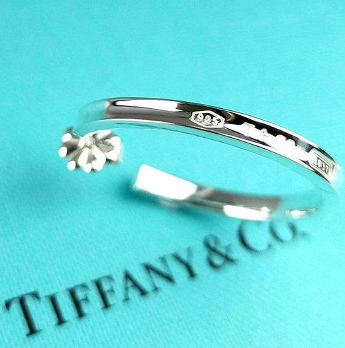 Tiffany Earrings (Single) 2759