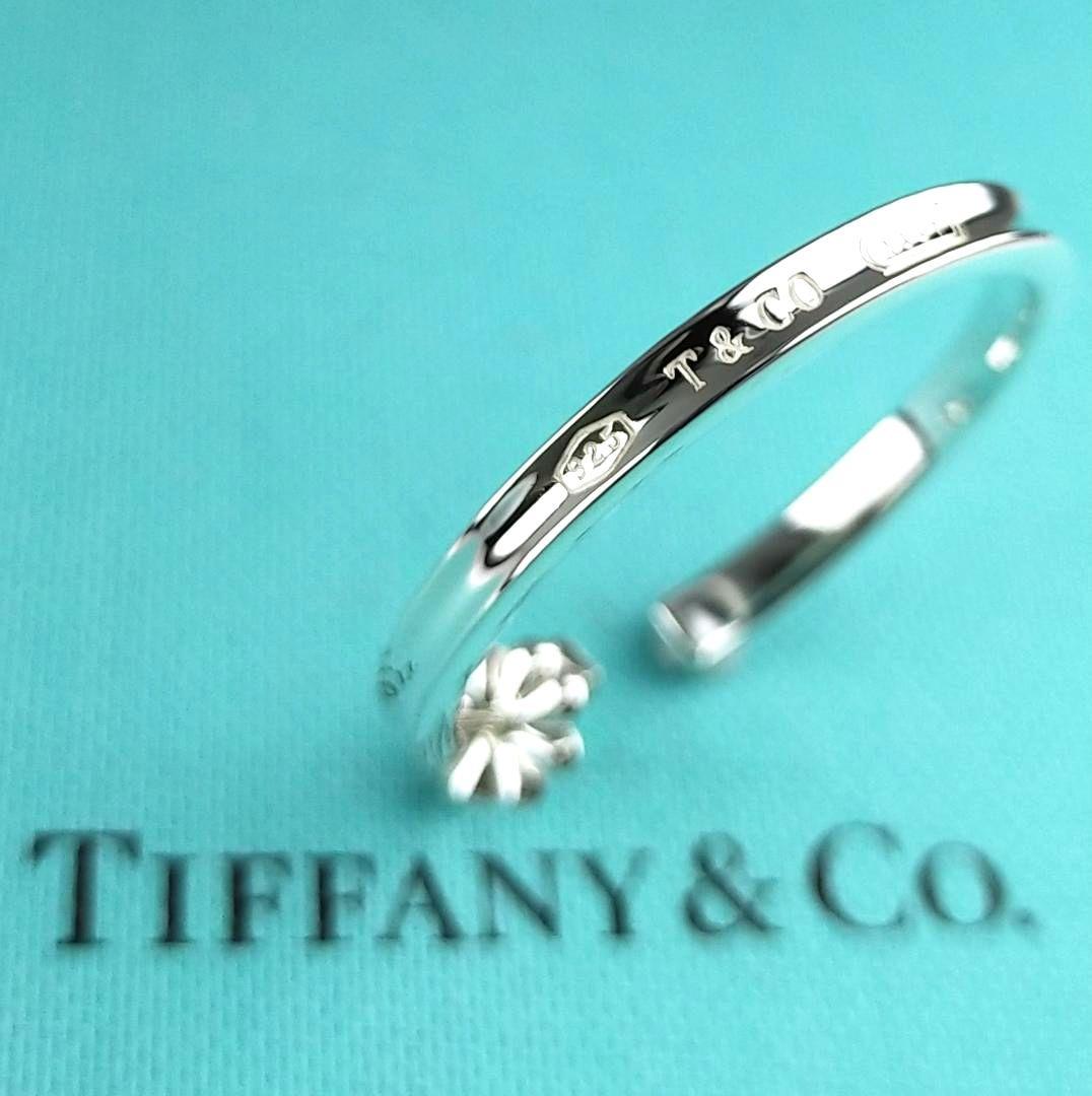 Tiffany Earrings (Single) 2759