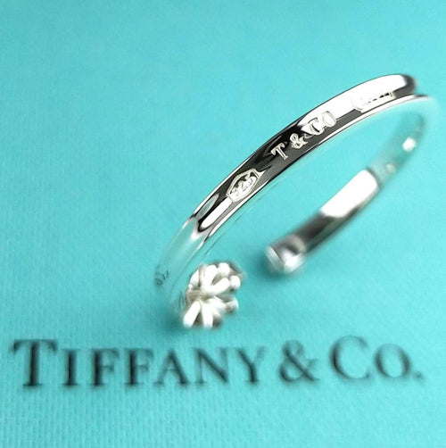 Tiffany Earrings (Single) 2759