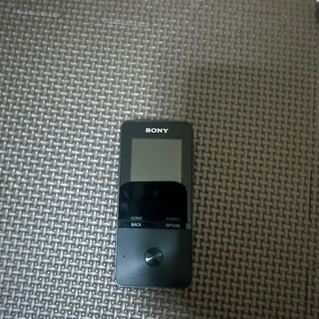 Sony Digital Audio Player
