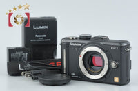 Panasonic Mirrorless Interchangeable Lips Lumix Dmc-Gf1