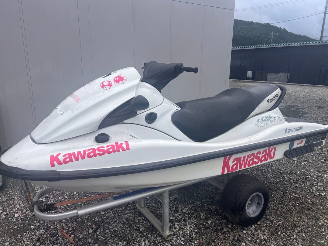 Kawasaki Other Yamaha Seadoo