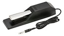Others Korg Ds-1H
