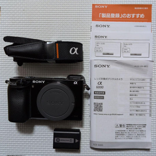 Sony Mirrorless Interchangeable Lens Cameras 6000 Ilce-6000