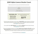 Sony Mirrorless Interchangeable Lens Cameras 6000 Ilce-6000