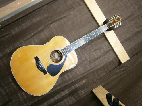 Acoustic Guitar Ld-30-12 12