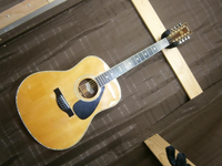 Acoustic Guitar Ld-30-12 12
