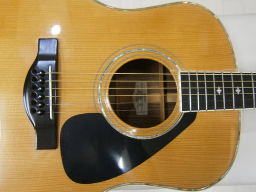 Acoustic Guitar Ld-30-12 12