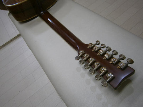 Acoustic Guitar Ld-30-12 12