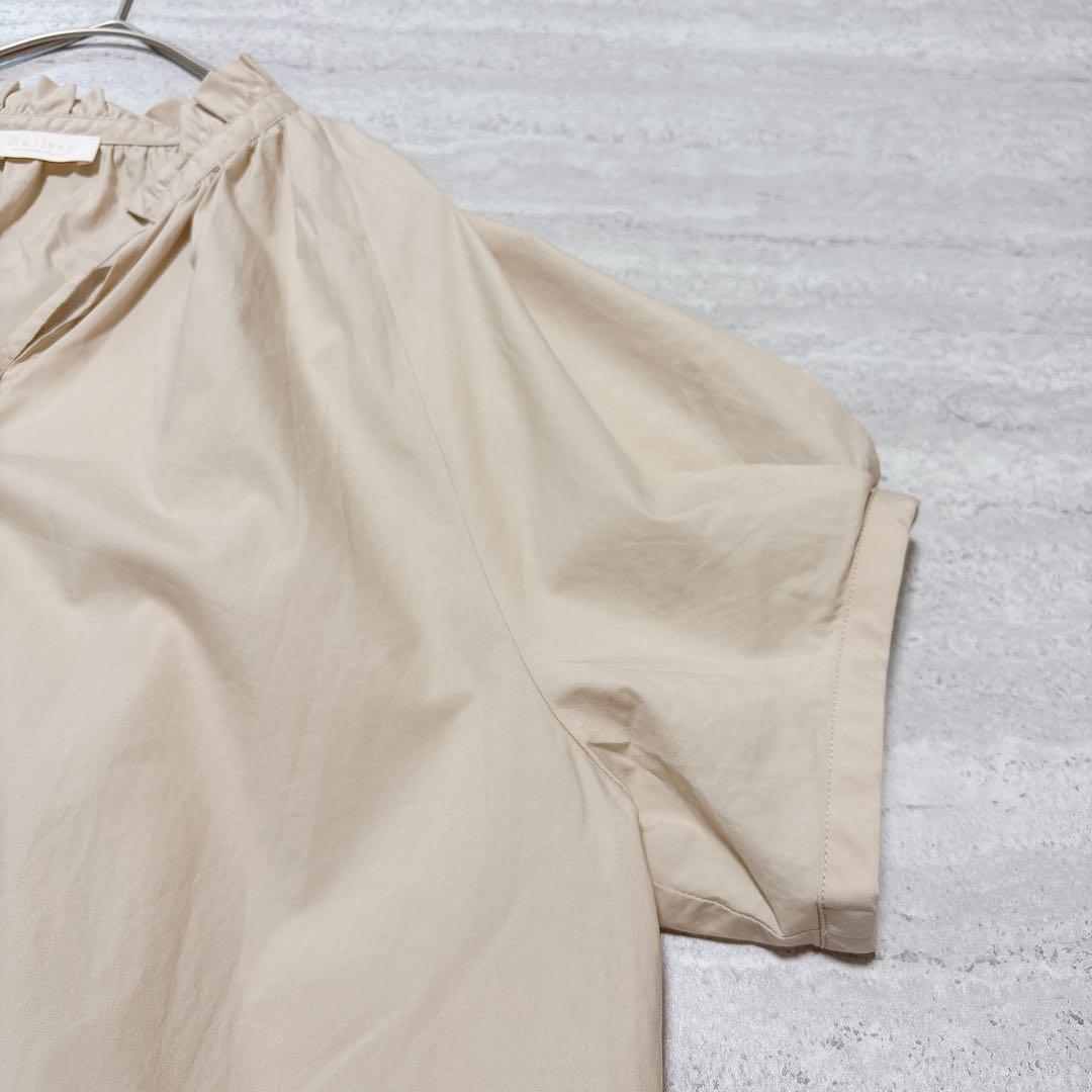 Ballsey Short-Sleeve