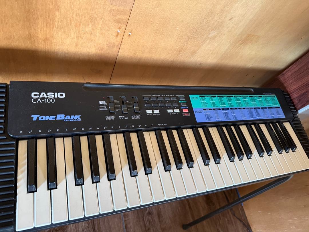 Casio Keyboards Digital Pianos Ca-100