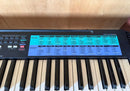 Casio Keyboards Digital Pianos Ca-100