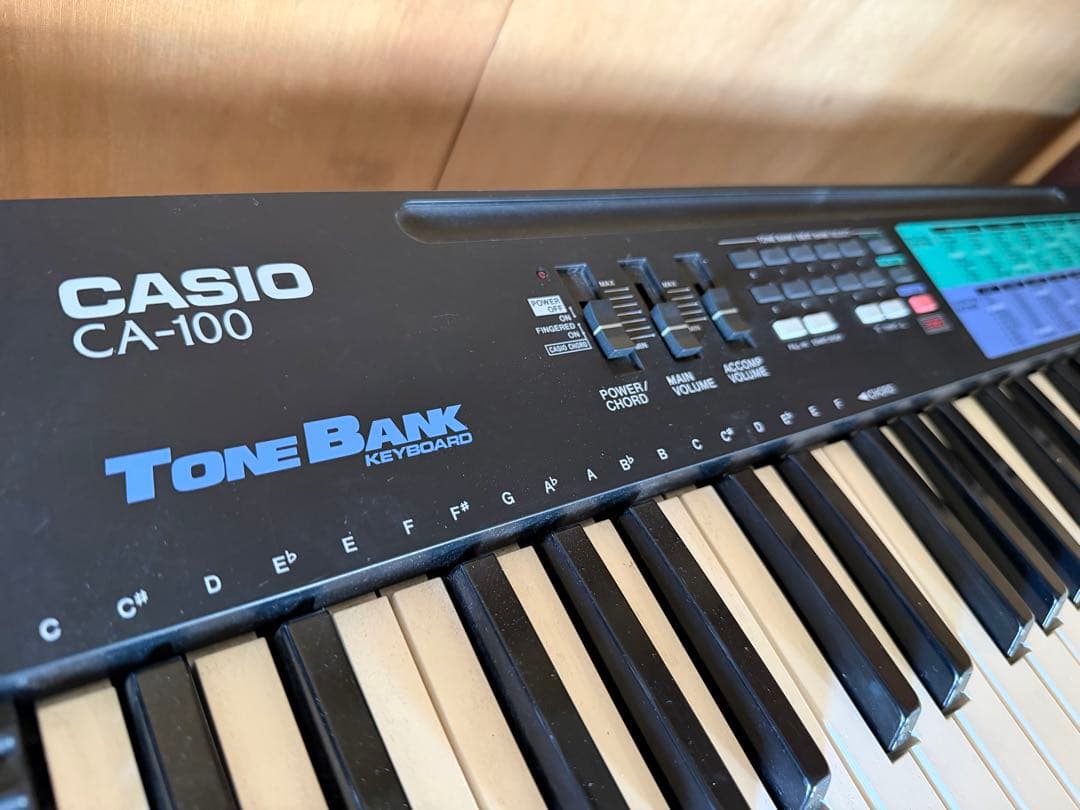 Casio Keyboards Digital Pianos Ca-100