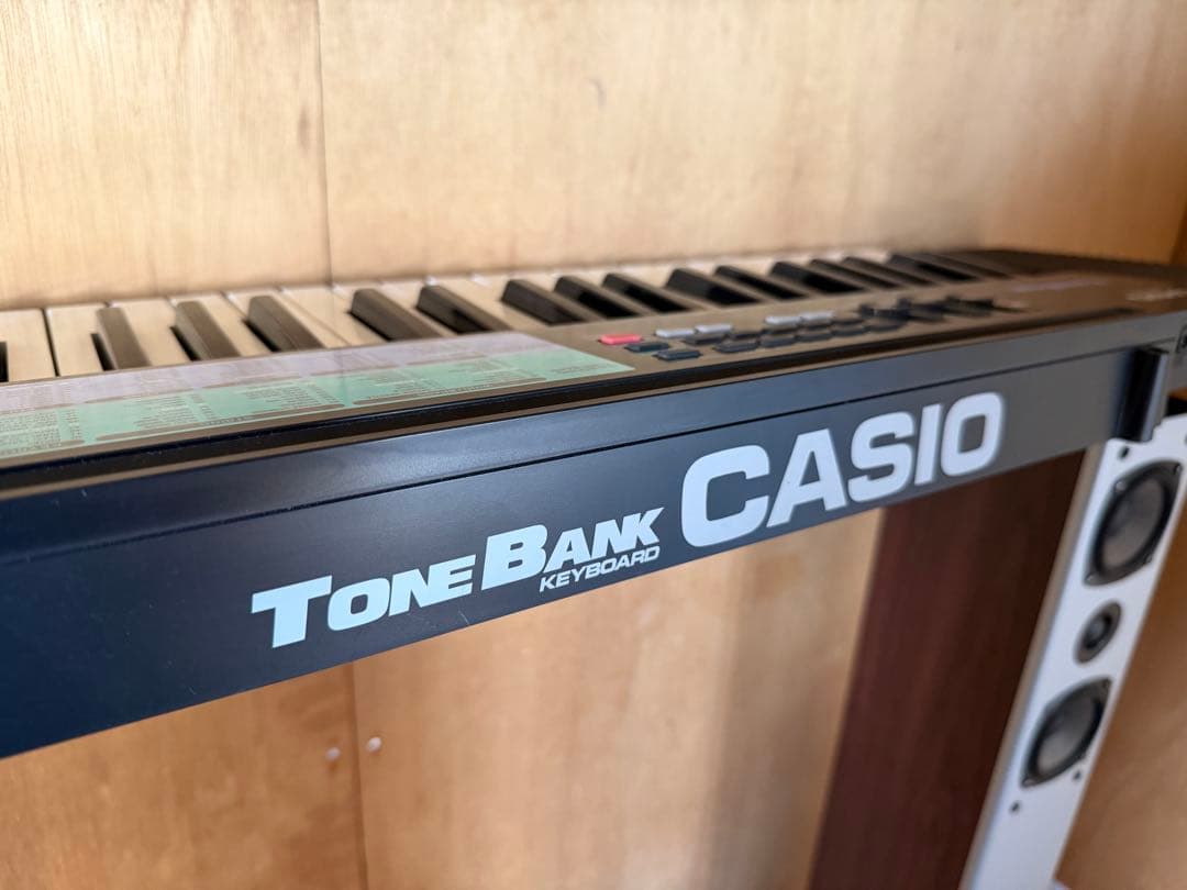 Casio Keyboards Digital Pianos Ca-100