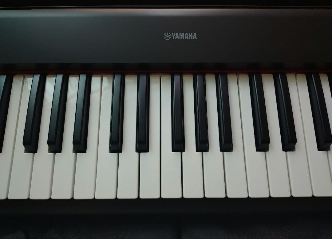 Yamaha Keyboards Digital Pianos Np-12B Piaggero