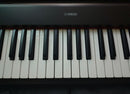 Yamaha Keyboards Digital Pianos Np-12B Piaggero