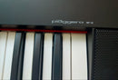 Yamaha Keyboards Digital Pianos Np-12B Piaggero