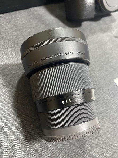 Sony Mirrorless Interchangeable Lips E