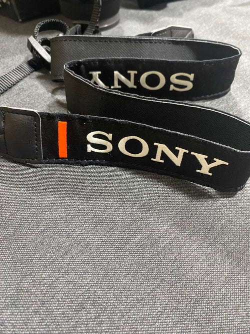 Sony Mirrorless Interchangeable Lips E