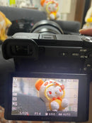 Sony Mirrorless Interchangeable Lips E