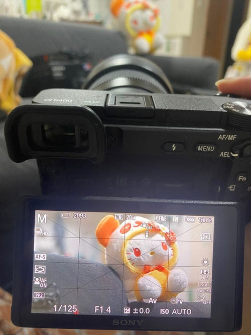 Sony Mirrorless Interchangeable Lips E