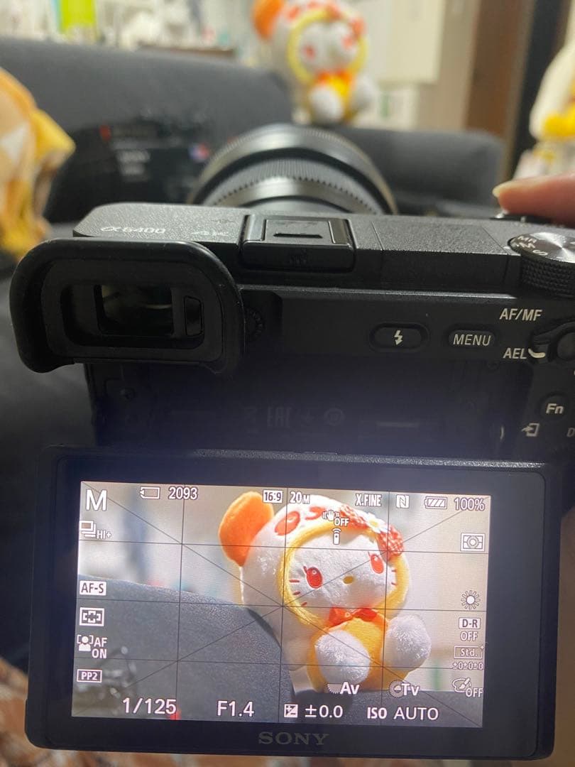 Sony Mirrorless Interchangeable Lips E